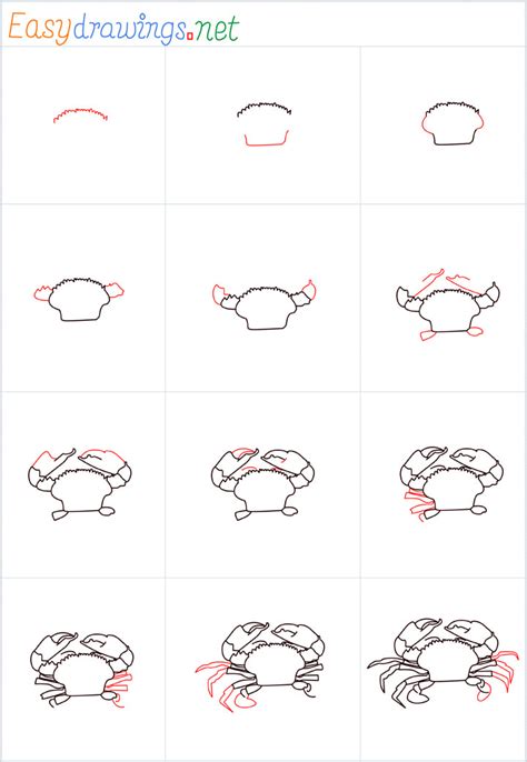 How To Draw A Crab Step By Step Easy How To Draw A Hermit Crab