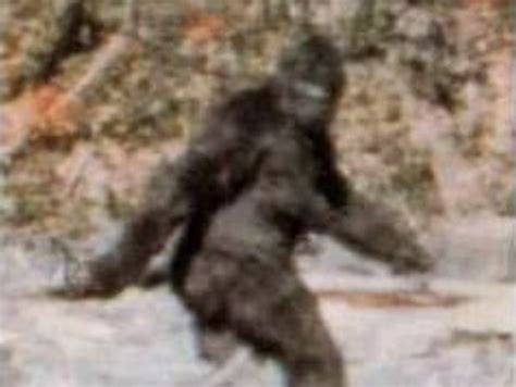 Woman Sequenced Bigfoots Genome
