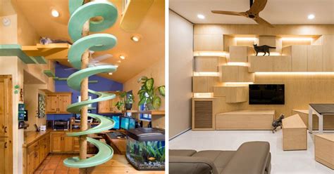 20 Creative Indoor Cat Playground Ideas Home Design Lover Cat