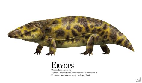 Eryops By Prehistorybyliam On Deviantart