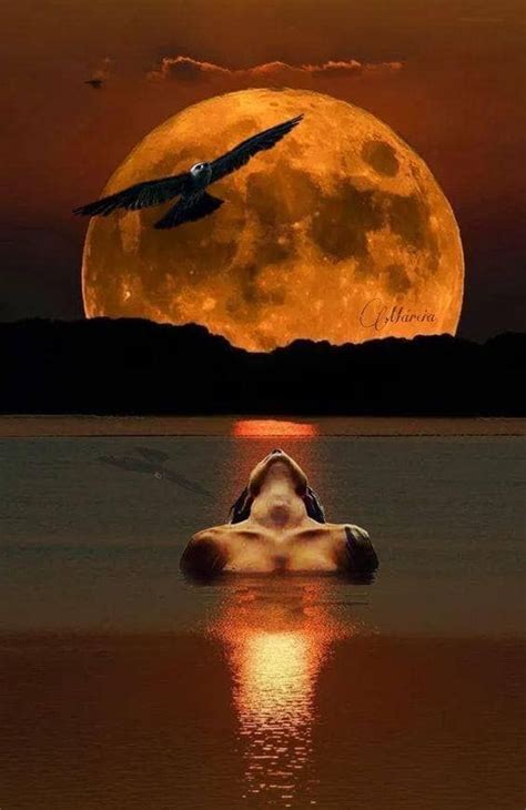 Good Night Moon Shine On Simply Breathtaking Beautiful Fantasy Art