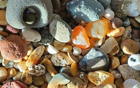 Agate Hunting 101 A Beach Guide To Finding Oregons Best Hidden Gemstones