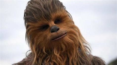 Chewbacca Desnudo Los Mejores Secretos En El D A De Star Wars
