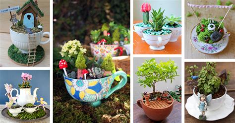 50 Best Teacup Mini Garden Ideas And Designs For 2021