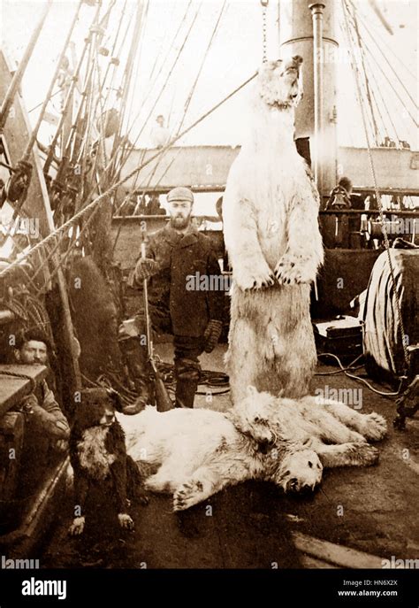 Whaling Ship In The Arctic With Dead Polar Bear And Cubs Victorian