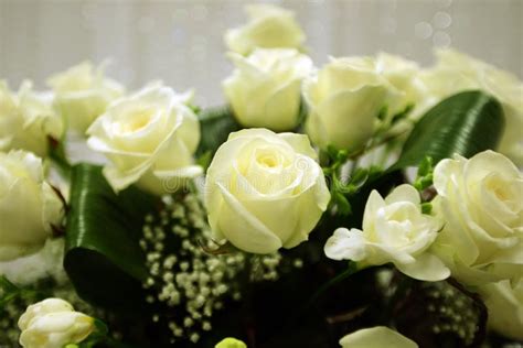 White Roses Flower Arrangement Stock Image Image Of Valentine