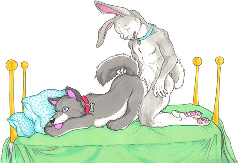 Rule 34 Anthro Bed Canine Collar Fur Furry Hopps Humping Kamilya