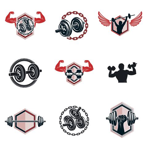 Premium Vector Set Of Vector Bodybuilding Theme Illustrations Made