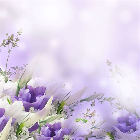 Funeral Wallpapers Top Những Hình Ảnh Đẹp