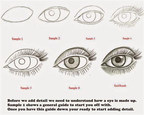 Learn How To Draw A Realistic Eye In Photoshop Through A Simple Step By