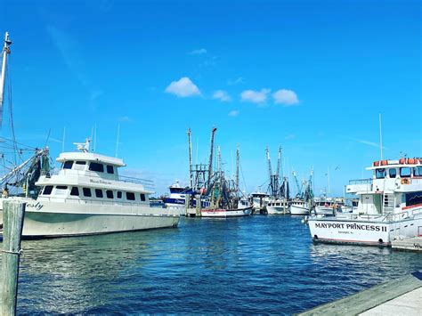 Safe Harbor Seafood Explore The St Johns River