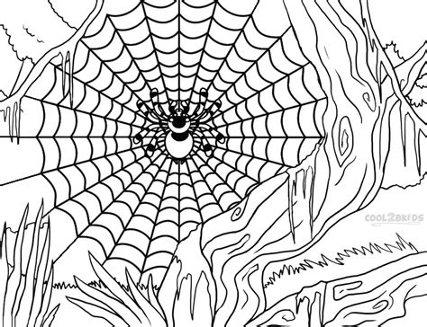 Printable Spider Web Coloring Pages For Kids Cool2bkids