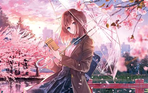 117 sakura hd wallpapers background images wallpaper abyss. Anime Cherry Blossom Girl Wallpapers - Top Free Anime ...