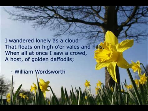 Quotes About Daffodil 43 Quotes