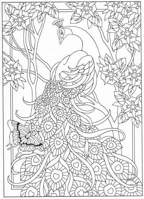 Peacock Coloring Pages For Adults Coloring Pages My XXX Hot Girl