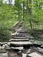 French Park - One of the Best Hiking Spots in Cincinnati! - Lost In ...