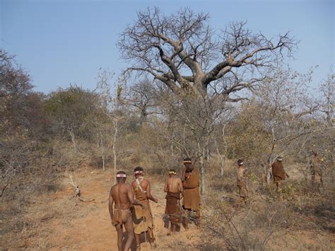 photoscope tribes the bushmen in botswana