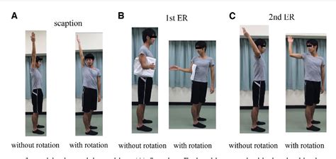 Figure 2 From The Effect Of Trunk Rotation During Shoulder Exercises On