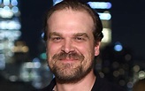 'Stranger Things' star David Harbour took yearbook photos with a fan ...