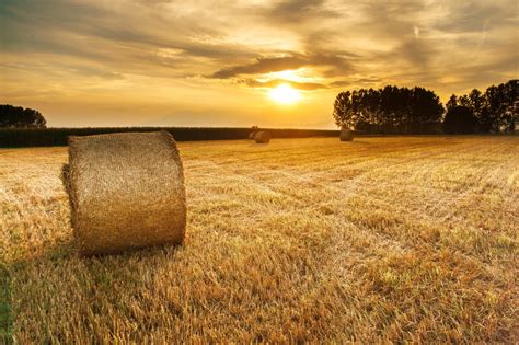 Free Images Landscape Horizon Sunrise Sunset Hay Field Meadow