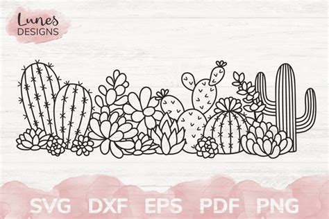 Cactus And Succulent Border Svg 1907563