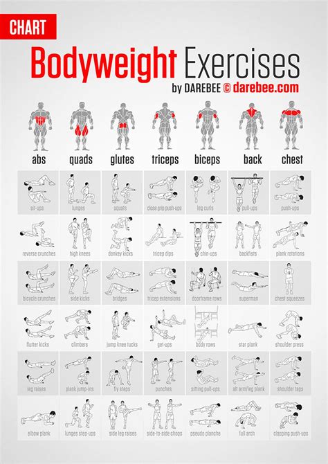 These four muscles at the front of the thigh are the major extensors (help to extend the leg. List of Bodyweight Exercises Infographic | Bodyweight workout, Workout chart, Body workout plan