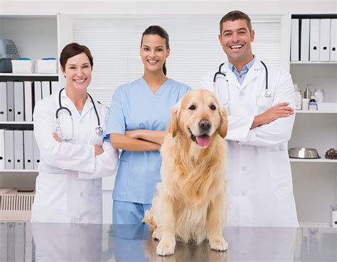 How To Improve Practice Management In Veterinary Practices