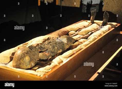 November 23 2008 The Mummy Of King Tutankhamon In His Tomb Stock