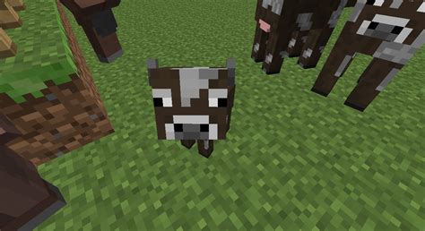 Petals attract may attract animals and insects to the flower. Baby Animals Skin Project And screenshots Minecraft Map