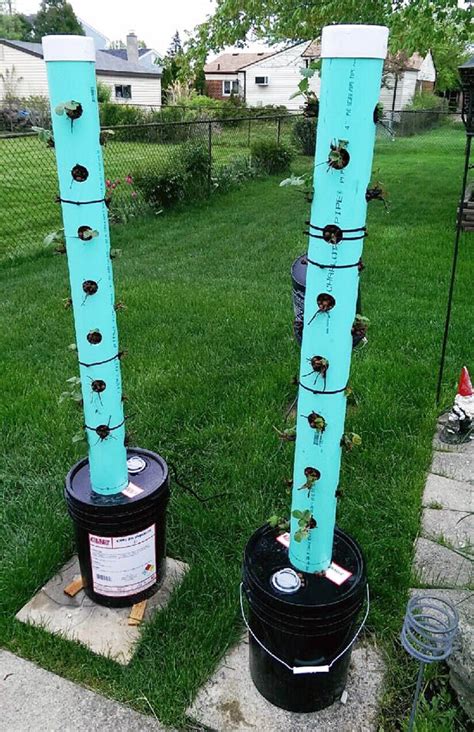 Building A Pvc Hydroponic Strawberry Tower Gridlock Gardening