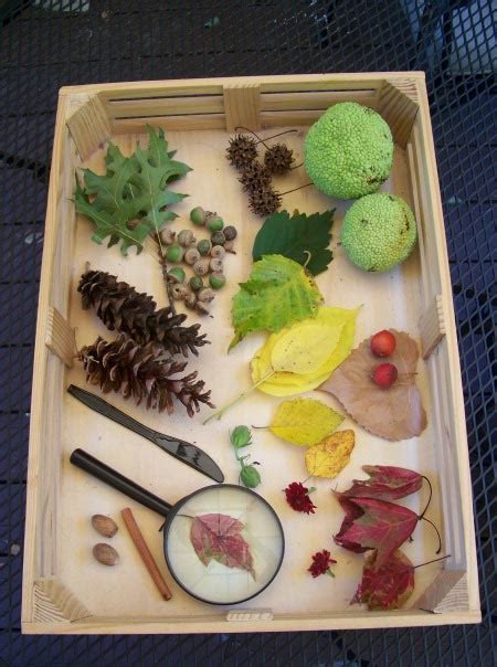Fall Nature Table Ideas For The Classroom Waldorf Montessori