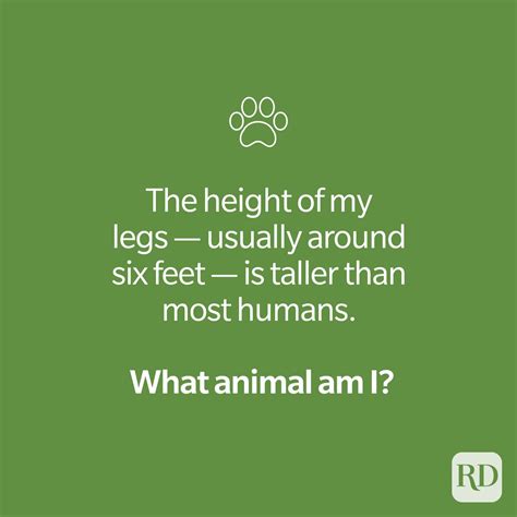 30 Animal Riddles That Are Serious Mind Benders Readers Digest