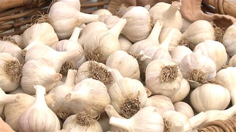Celebrating Garlic In The Poconos Wnep Com