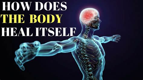 How Does The Body Heal Itself Youtube