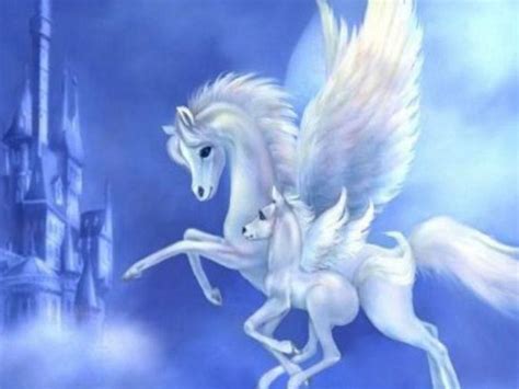 Pegasus Baby Pegasusmotherandfoalwallpaperzwh Pegasus Mother And Foal