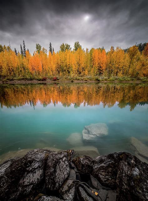 Fall Reflection Flathead River Glacier National Park Photograph By