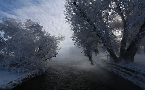 Landscape Nature Winter River Clouds Snow Forest Frost Trees Cold Mist