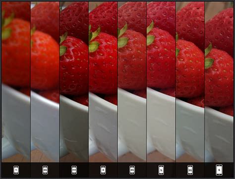 Check Out How The New Iphone 6 Camera Stacks Up Against The Previous