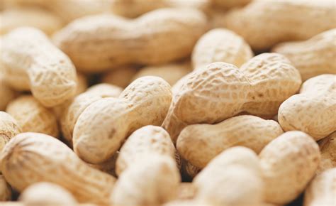 Senegal Ends Suspension Of Peanut Exports To Collect Foreign Currency