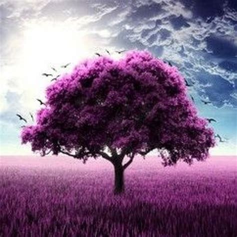 Stream Purple Tree By Mr Kraa 2 Listen Online For Free On Soundcloud