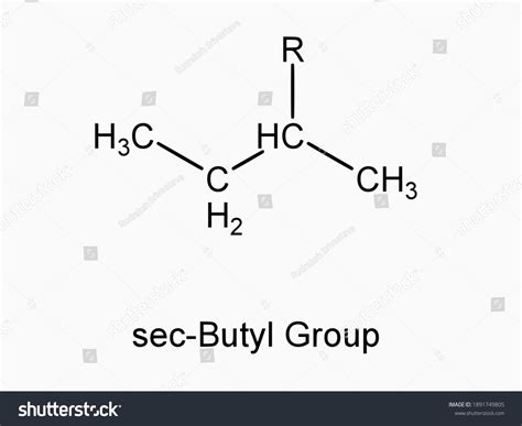 Secbutyl Functional Group Molecule Atom Formula Stock Vector Royalty