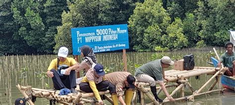 Pt Nippisun Indonesia Selamat Kan Bumi Dengan Menanam 5000 Pohon