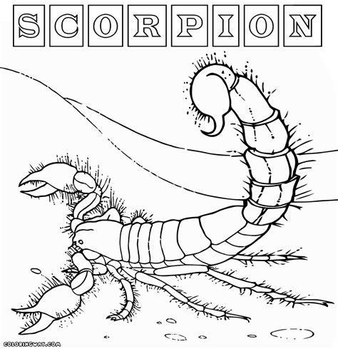 Scorpion Coloring Pages Free Printable Scorpion Color