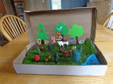 Easy Ways To Make Your Project Diorama Special Diorama Kids Crafts