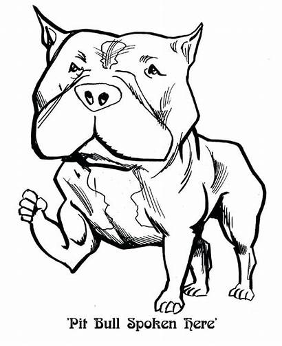 Pitbull Coloring Pages Bull Dog Sketch Husky