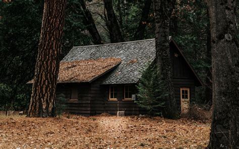 Download Wallpaper 3840x2400 House Forest Solitude