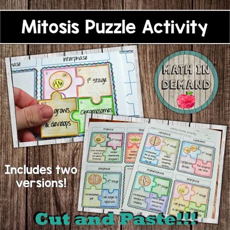 Mitosis Puzzle Activity Mitosis Activities Meiosis Activity