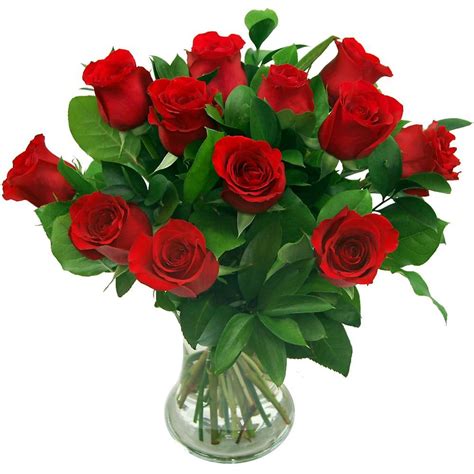 True Romance 12 Red Roses Fresh Flower Bouquet Dozen Red Roses Arranged By Florists With Next