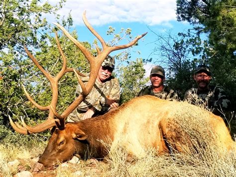 Guided Arizona Elk Hunts Dieringer Outfitters Llc