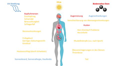 Gesundheitliche Folgen Landesgesundheitsamt Stuttgart